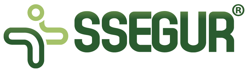 logo_ssegur_r_site